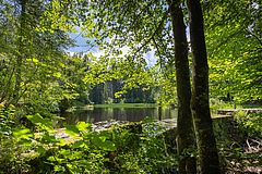Moorland lake on the Bödele, Foto: Gabi Metzler Photography