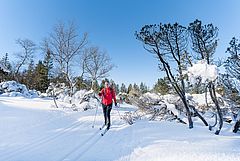 Cross-Country Skiing at Bödele, Foto: Gabi Metzler Photography