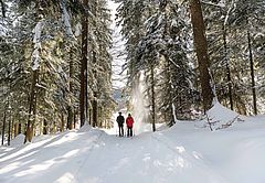 Schneeschuhwandern, Foto: Gabi Metzler Photography